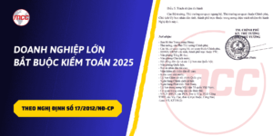 Doanh nghiệp lớn bắt buộc kiểm toán 2025 theo Nghị Định số 17/2012/NĐ-CP