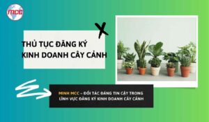 Thủ tục đăng ký kinh doanh cây cảnh tạiMCC